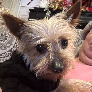 Meet your Posher, Connie